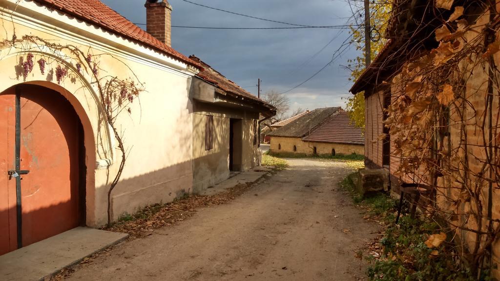 Country House Dunjin Konak Rogljevo Buitenkant foto