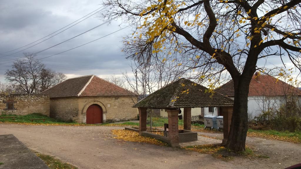 Country House Dunjin Konak Rogljevo Buitenkant foto