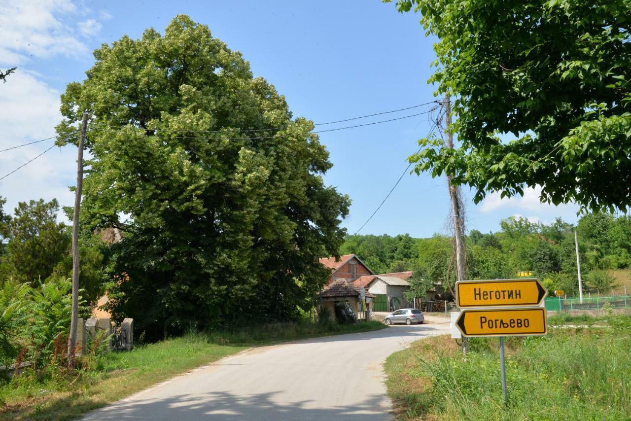 Country House Dunjin Konak Rogljevo Buitenkant foto