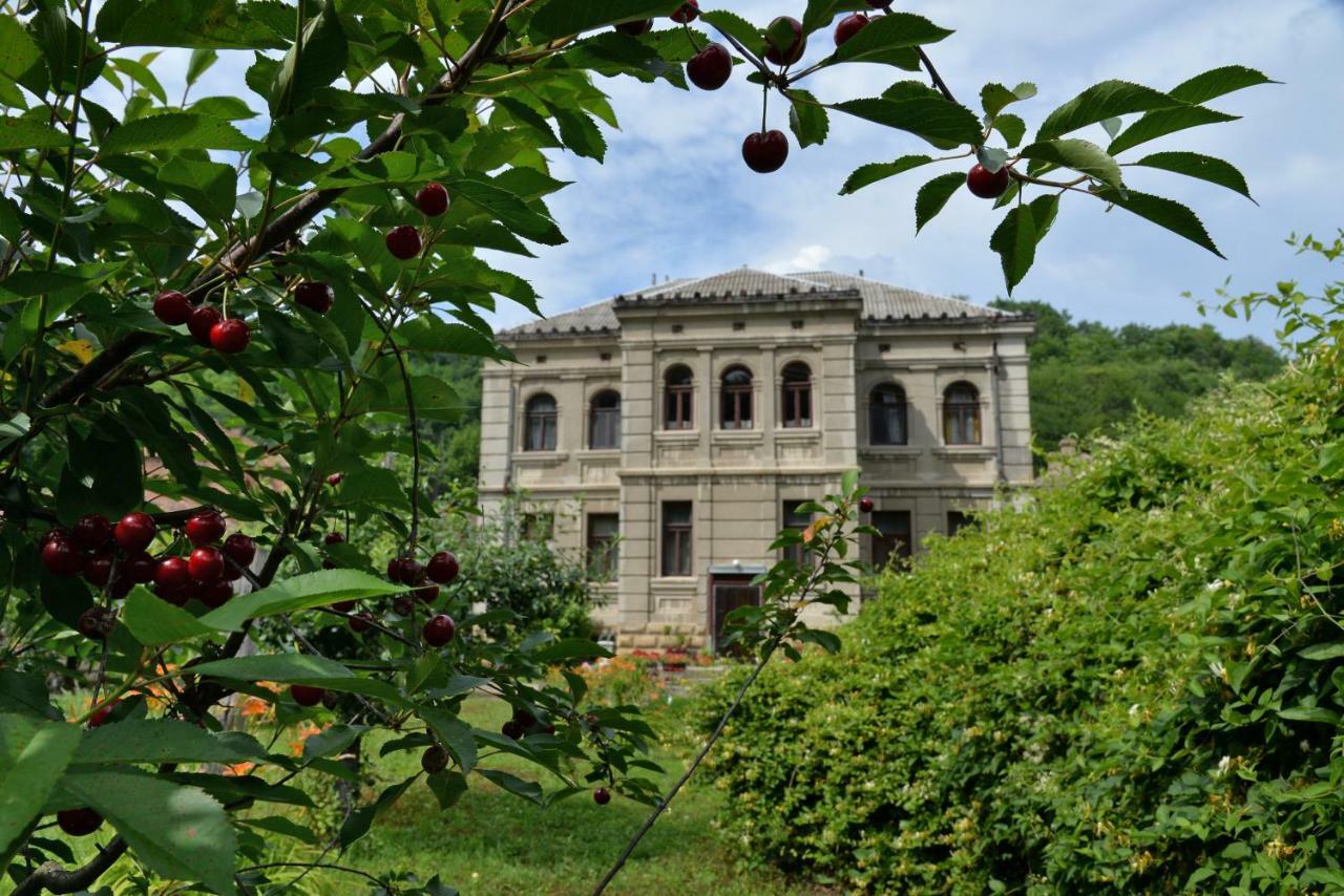 Country House Dunjin Konak Rogljevo Buitenkant foto