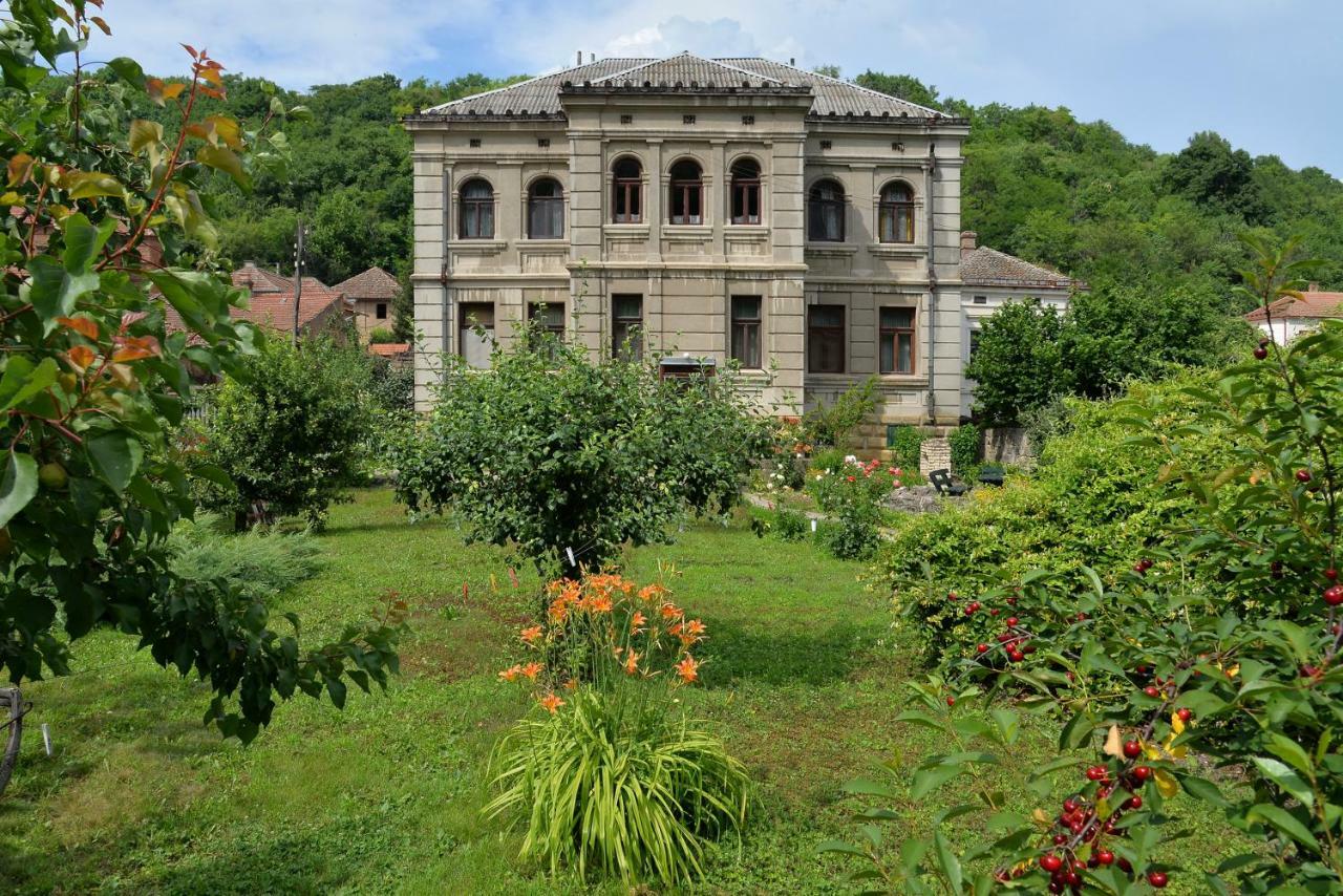 Country House Dunjin Konak Rogljevo Buitenkant foto