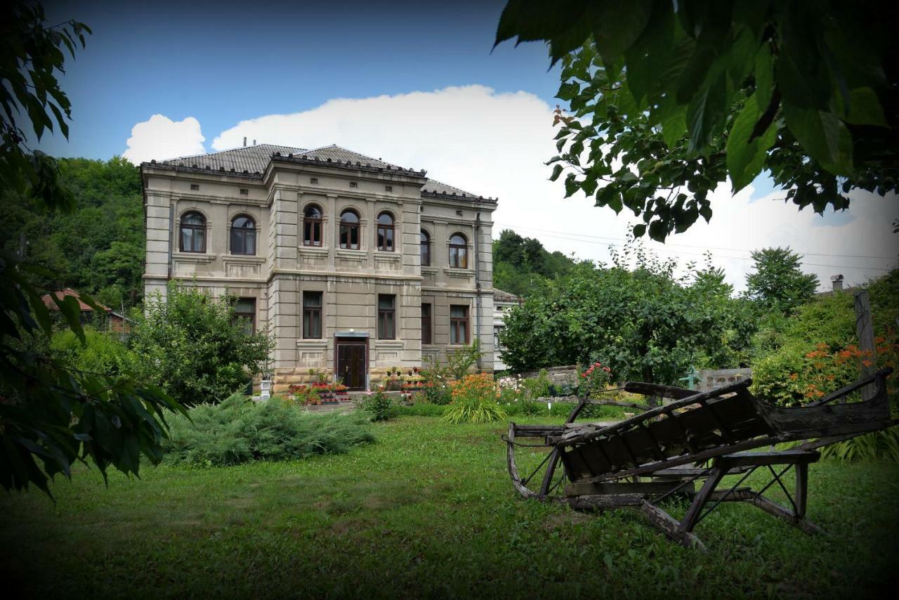 Country House Dunjin Konak Rogljevo Buitenkant foto