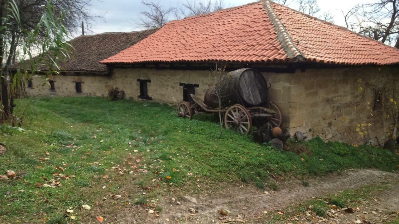 Country House Dunjin Konak Rogljevo Buitenkant foto