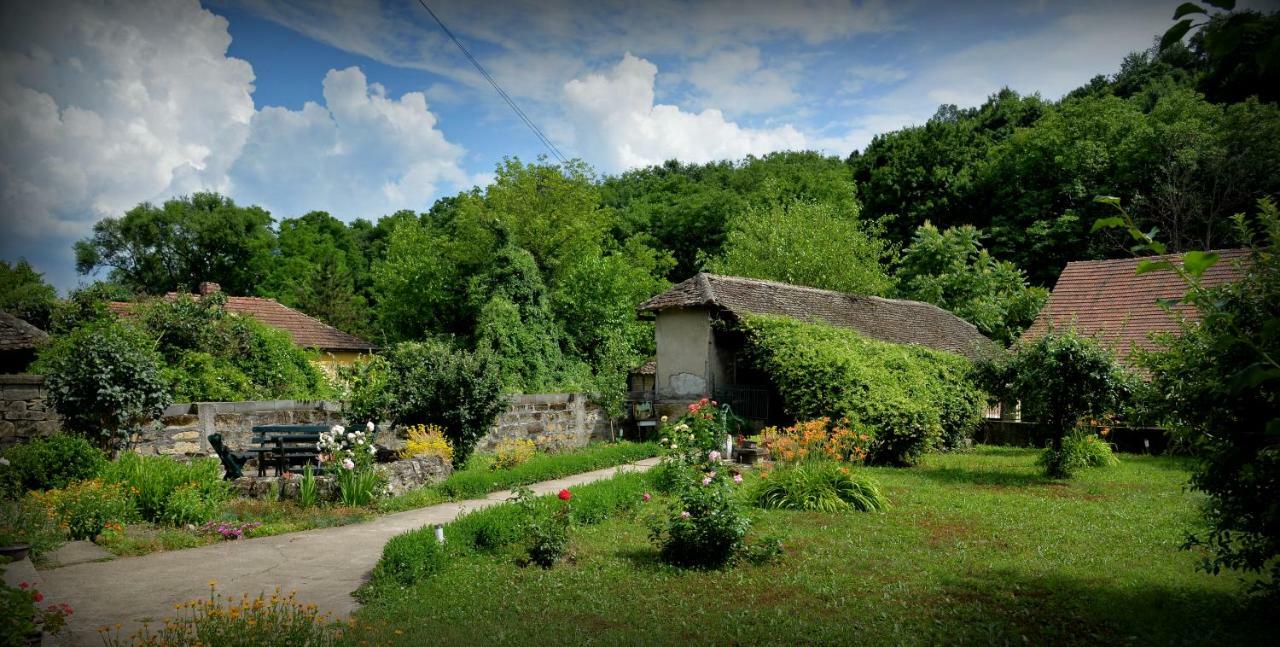 Country House Dunjin Konak Rogljevo Buitenkant foto