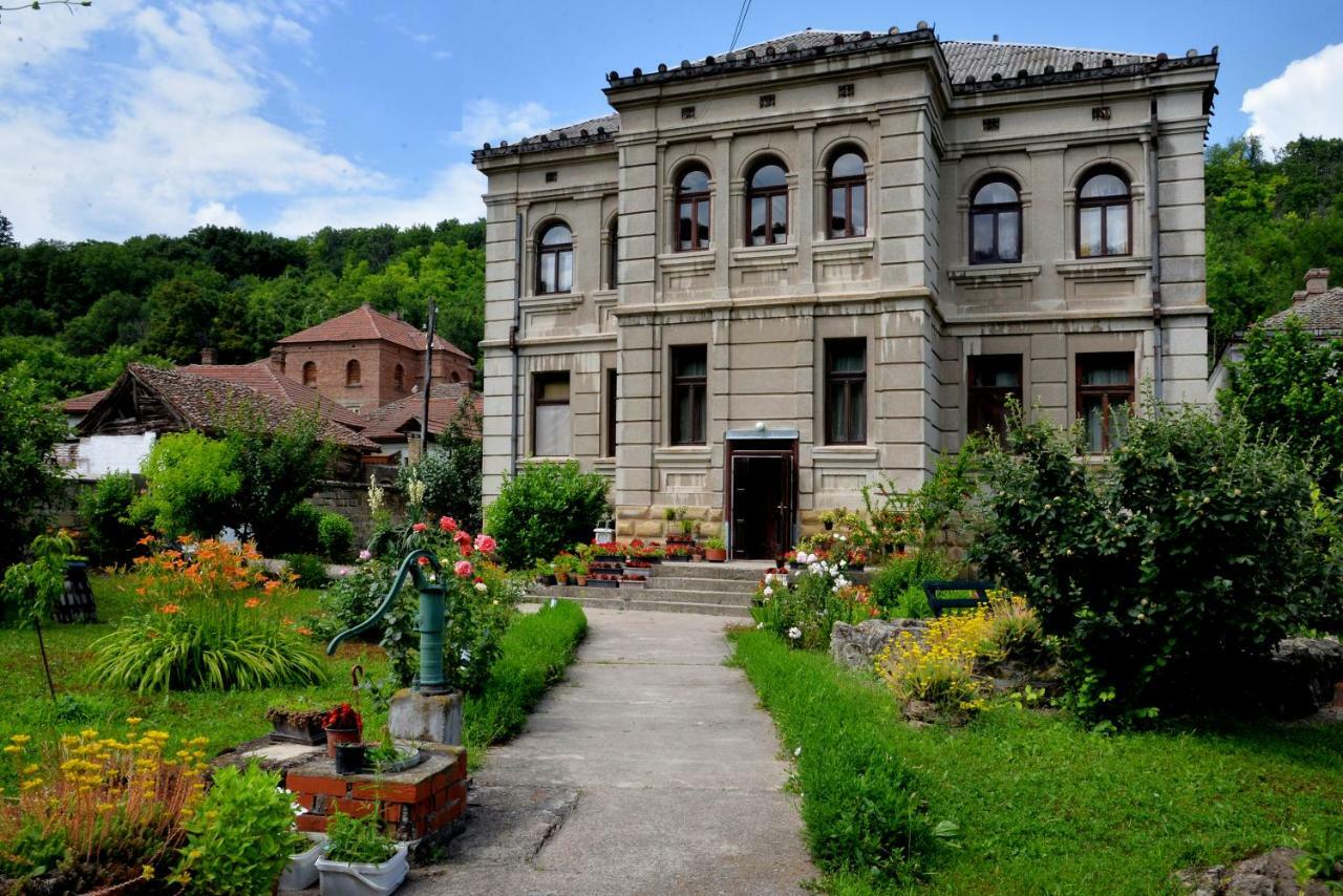 Country House Dunjin Konak Rogljevo Buitenkant foto